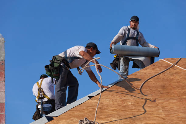 Best Roof Maintenance Services  in Burgettstown, PA